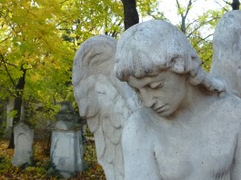 Notiz-Blog: St. Marxer Friedhof