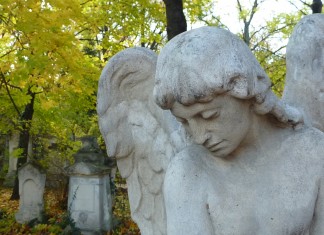 Notiz-Blog: St. Marxer Friedhof