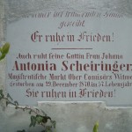 Antonia Scheiringer