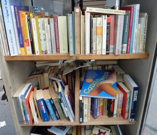 Lesungen beim offenen Bücherschrank in Ottakring am 16.06. und 30.06.2012
