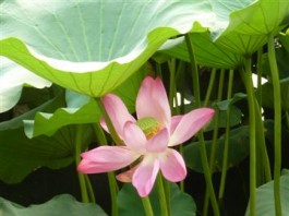 China – Reich der Mitte – Reich der Kontraste