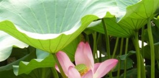 China – Reich der Mitte – Reich der Kontraste