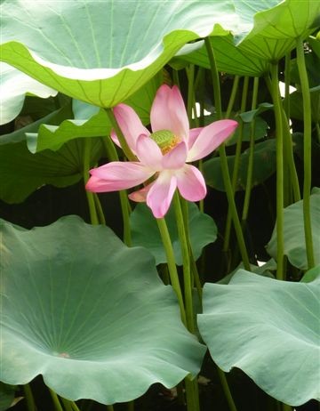 China – Reich der Mitte – Reich der Kontraste