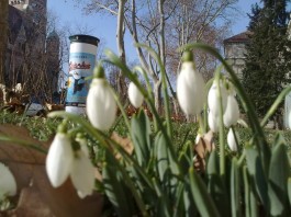 Osterhase überholt Valentin