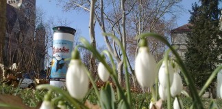 Osterhase überholt Valentin