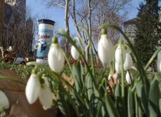 Osterhase überholt Valentin