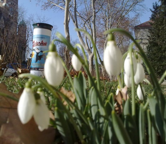 Osterhase überholt Valentin