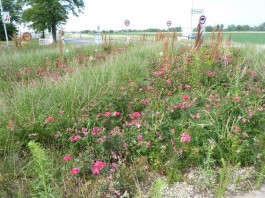 Die Nobelbezirke Wiens