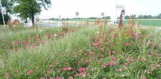 Die Nobelbezirke Wiens