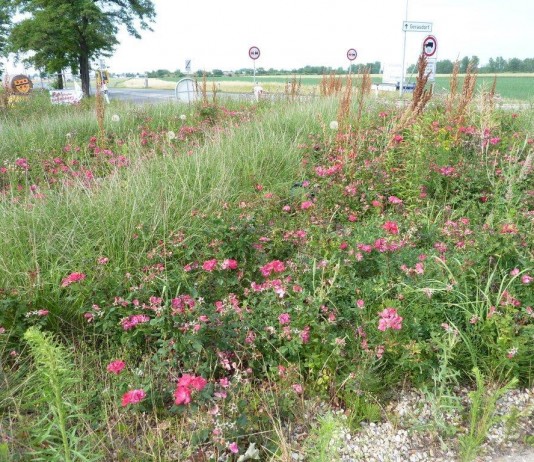 Die Nobelbezirke Wiens