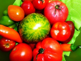 Im Paradies der Paradeis von Erich Stekovics