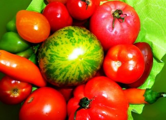 Im Paradies der Paradeis von Erich Stekovics