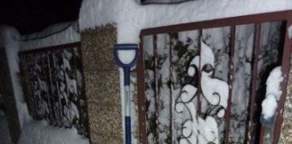 Sag`mir wo die Hausmeister sind…