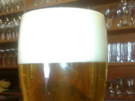 Es gibt kein Bier auf Hawaii, aber in Floridsdorf! Biertage 25.-27.März 2014