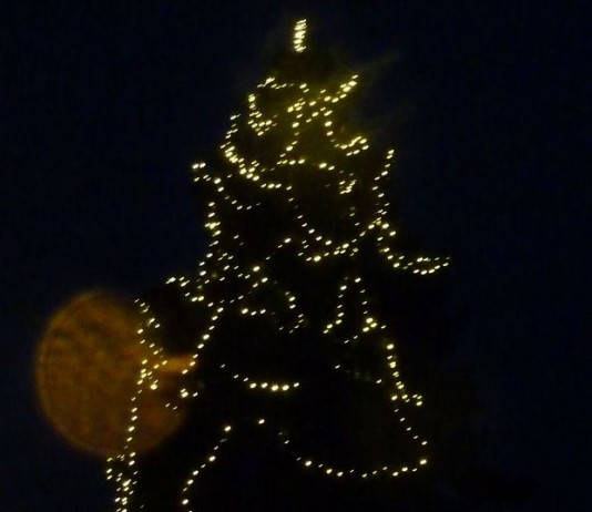 O Marillenbaum, O Marillenpunsch!