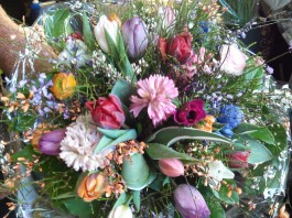 Wohin geht der Valentin am Valentinstag ?