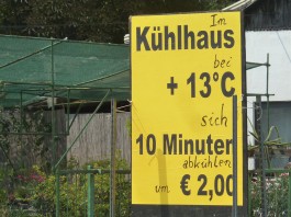 Sich selbst im Blumen-Kühlhaus kühlen wo keine Nelken welken Im Kühlhaus bei + 13 Grad C sich 10 Minuten abkühlen um € 2,00.