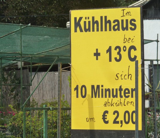 Sich selbst im Blumen-Kühlhaus kühlen wo keine Nelken welken Im Kühlhaus bei + 13 Grad C sich 10 Minuten abkühlen um € 2,00.